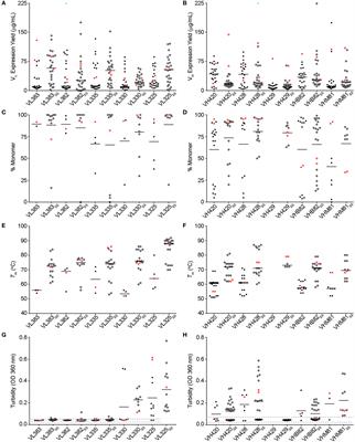 Stability-Diversity Tradeoffs Impose Fundamental Constraints on Selection of Synthetic Human VH/VL Single-Domain Antibodies from In Vitro Display Libraries